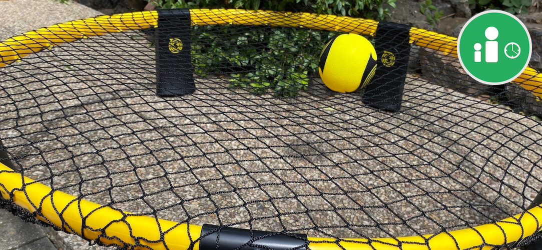 Spikeball PRO